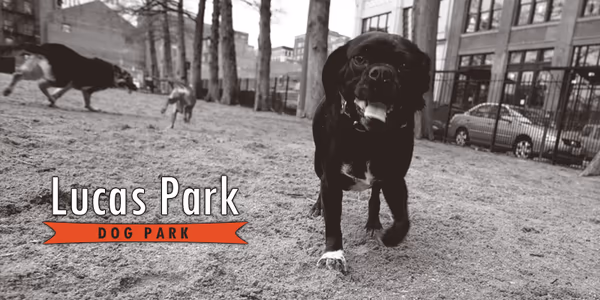 Lucas Park Dog Park